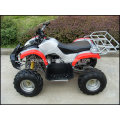 Mini Quad ATV 110ccm